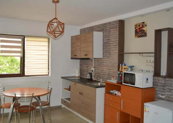 Villa 38 Silviu Apartment